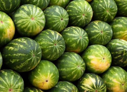 Hogyan változott a görögdinnye ára az előző évhez képest?